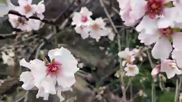 Bu görüntüler İstanbul'un burnunun dibinde çekildi: Bir taraf kış, diğer taraf bahar