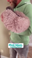 Big Sister Instantly Falls in Love With New Puppy! 😍 | Heartsome 💖