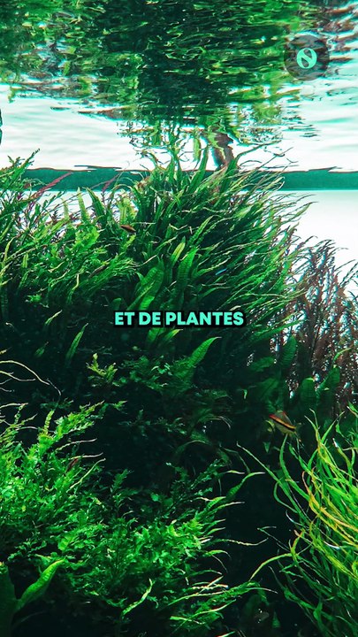 💧 Voici la bouteille d’eau du futur !