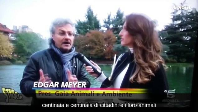 Gaia Animali e Ambiente festeggia i 30 anni di attivita'