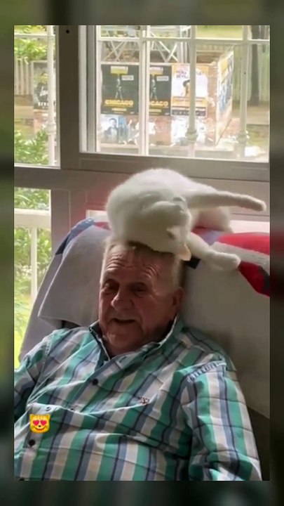 We don't need a cat!!