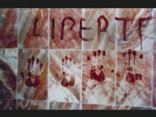 a la memoire de l'immortel lounes matoub