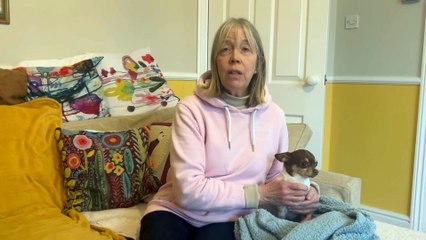 Pensioner's dog 'hit by cyclist' - leaving her with £1.3k vets bill