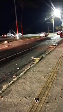 Acidente entre carro e coqueiro na Av. Assis Chateaubriand