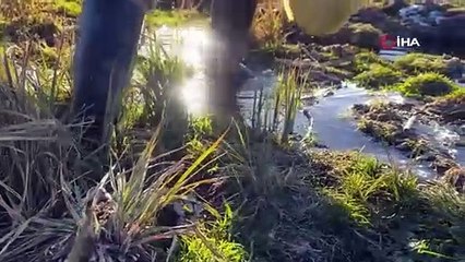 Bitlis'te esrarengiz hareketlilik: Tonlarca toprak fışkırdı