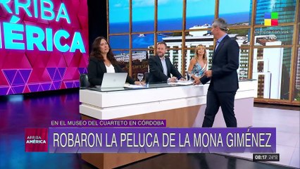 Robaron la peluca de "La Mona" Giménez del Museo del Cuarteto en Córdoba