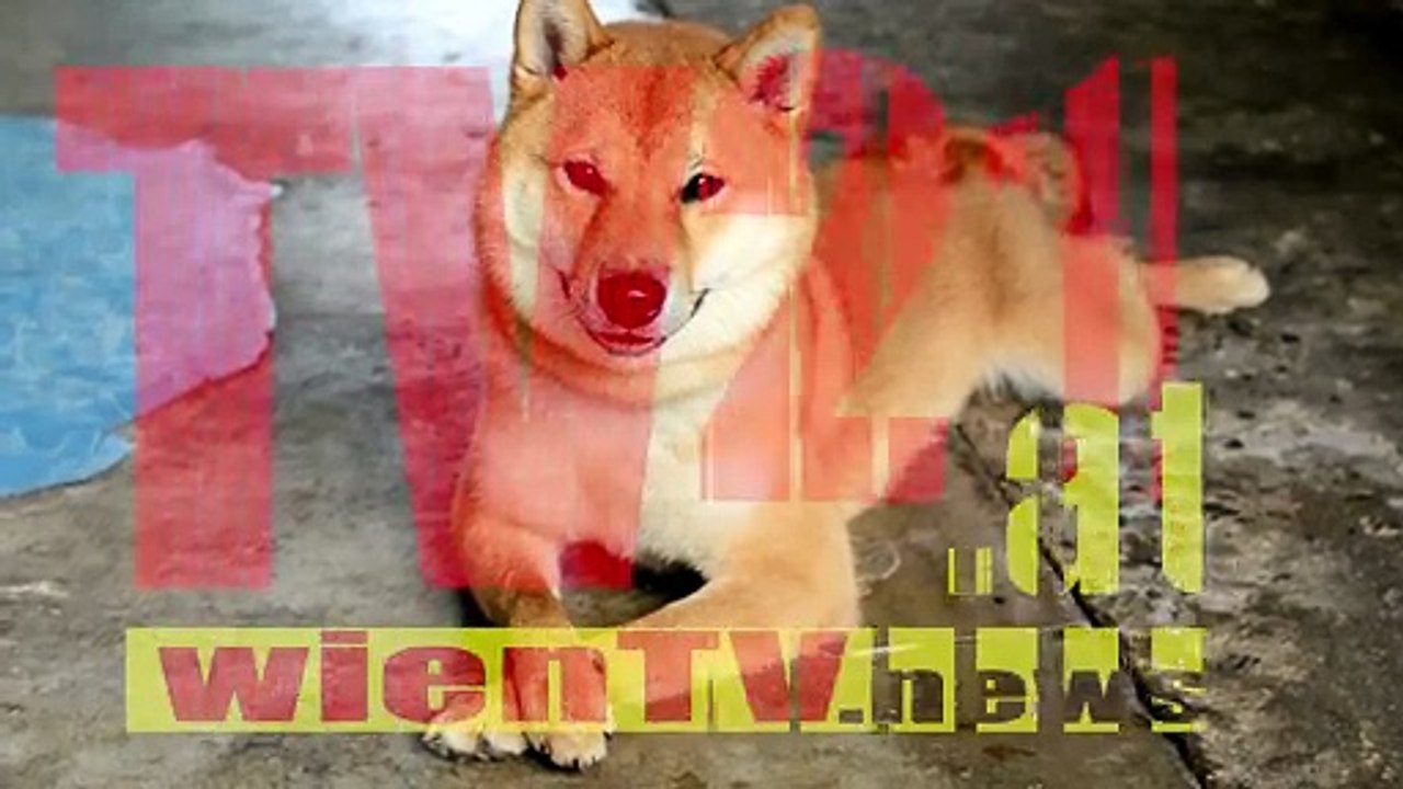 15 neue Hundeführschein-PrüferInnen bestellt