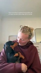 Woman Squeezes Grumbles Out of Her Pet Dachshund Dog