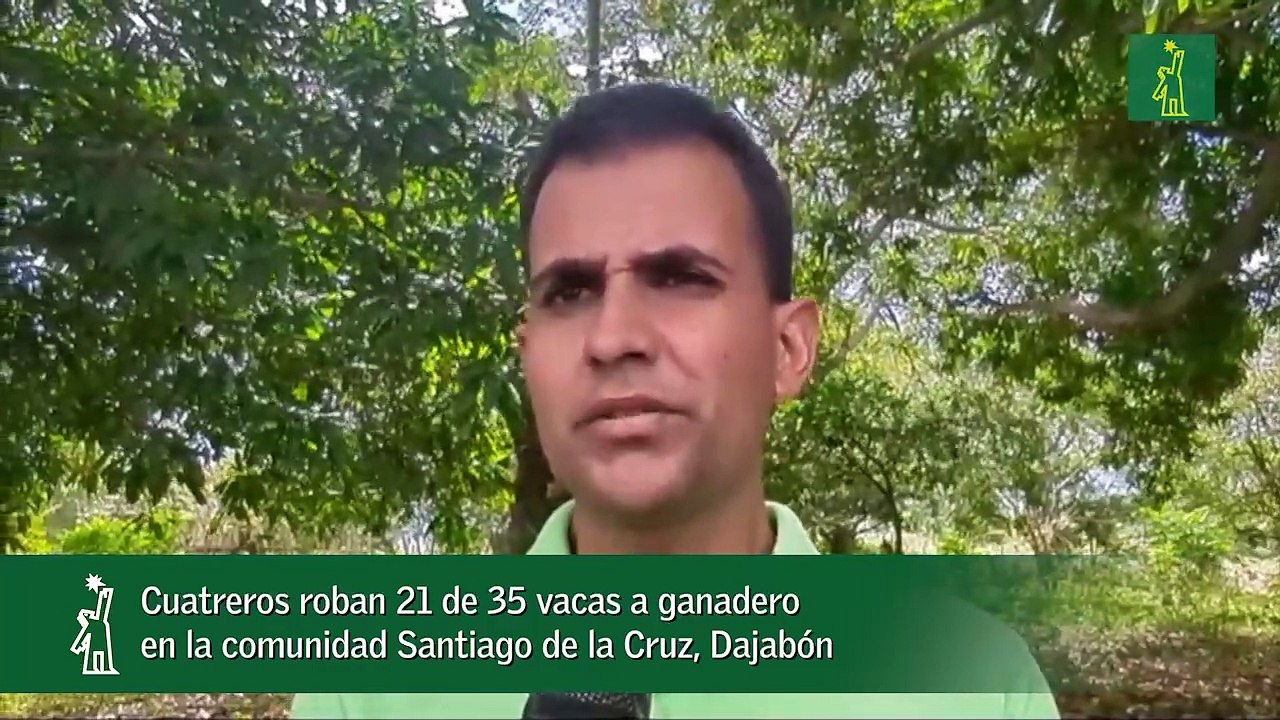 Cuatreros roban 21 de 35 vacas a ganadero  en la comunidad Santiago de la Cruz, Dajabón