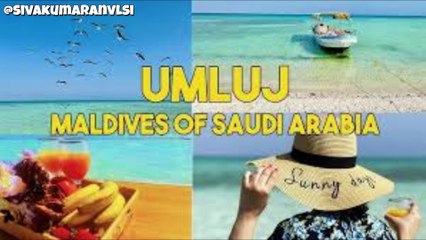 MrBeast Launches ‘100 Hours at the Pyramids’