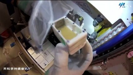 Fruit Flies In Space - Chinese Astronauts Show Experiment On Tiangong Station