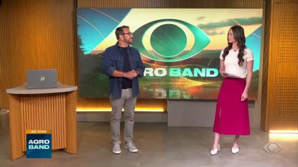 Adubação orgânica agrega valor à produção de mandioca em Goiás