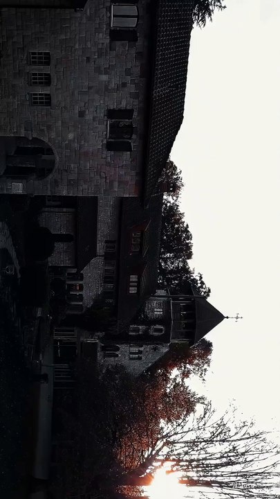 Super Car Racing Fever NASCAR and F1! 🚗