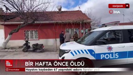 Eskişehir'de hayatını kaybeden 67 yaşındaki adamı fareler yedi