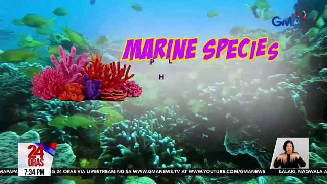24 Oras: (Part 3) Ilang bahagi ng bansa, binaha dahil sa malakas at halos walang-tigil na pag-ulan; Pinoy Big Brother Celebrity Collab Edition, mapapanood na sa March 9 sa GMA; relationship nina Andi Eigenmann at Philmar Alipayo, naging..., atbp.