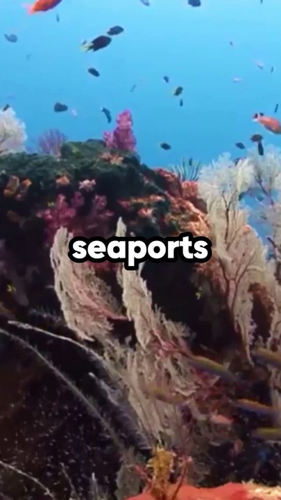 5 Amazing Facts About Pakistan Part-1 #facts #pakistan #pakistani #shorts #trending #amazingfacts