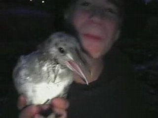 Embrasser un-oiseau-est-dangereux