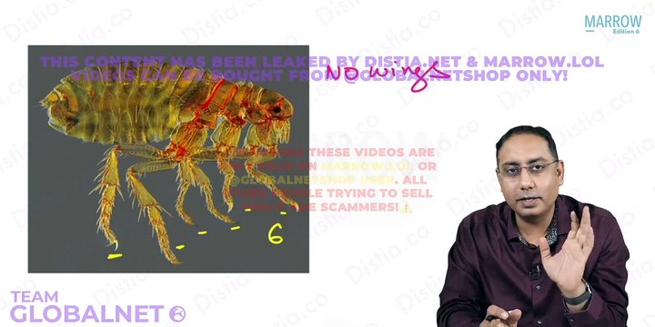 92. Entomology: Lice, Ticks, Mites and Sandfly