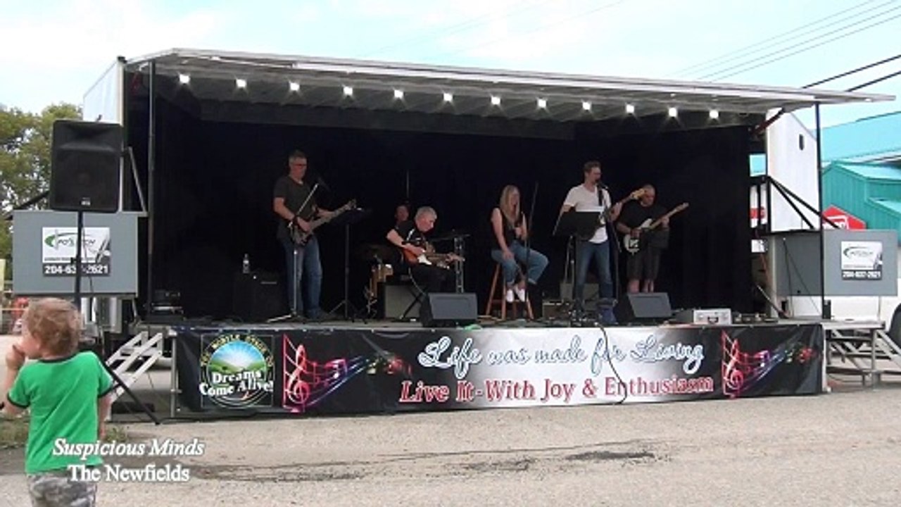 The Newfields, Suspicious Minds #livemusic #coversong