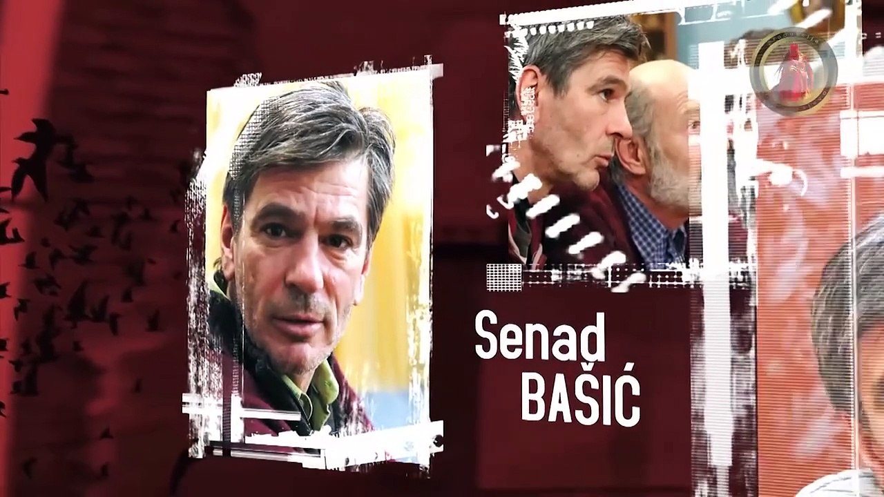 Lud Zbunjen Normalan (134 Epizoda)S5.E14 ∙ Dnevnik jedne siparice
