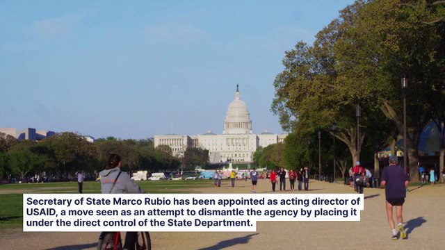 Mary Trump Slams Uncle, Says President 'Isn't Just Destroying Democracy, He's Handing Unchecked Power to People Like Elon Musk'