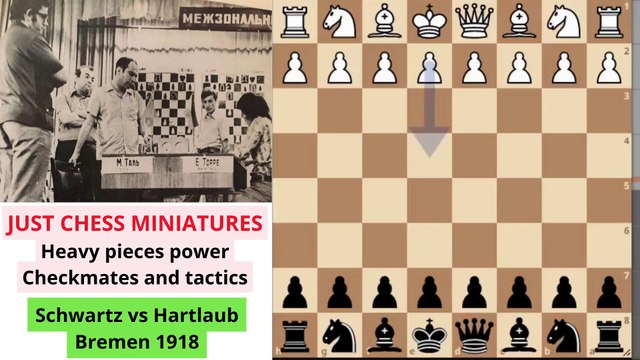 Heavy pieces power. Checkmates and tactics. Part 1
