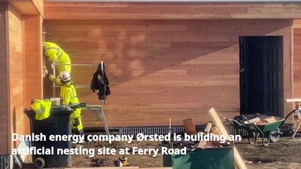 New kittiwake ‘hotel’ is almost ready for guests