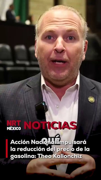 El diputado federal Theo Kalionchiz aseguró que, desde Acción Nacional, trabajarán para lograr una reducción en el precio de la gasolina, afirmando que "sí se puede" y que existen mecanismos para lograrlo