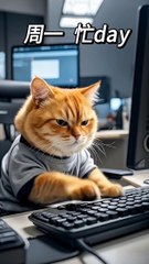 A Week of Purr-fect Wordplay for the "Chosen Working Cat" — Too Real!