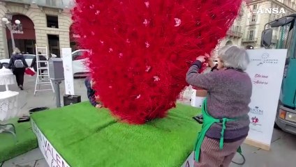 San Valentino, esposto a Torino un grande cuore di fiori