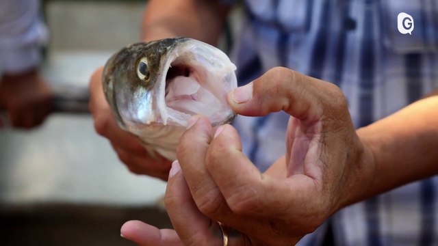 Documentaire - Les Globe-Pêcheurs en Ouzbékistan