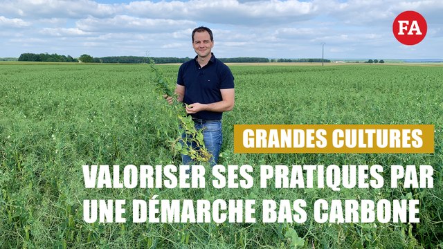 Grandes cultures : valoriser ses pratiques par une démarche bas carbone
