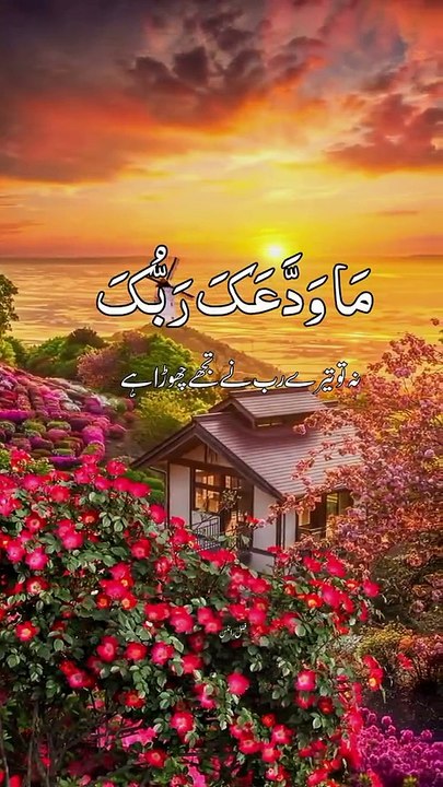 #islamicstatus #reels #foryou  #viralvideo #viral