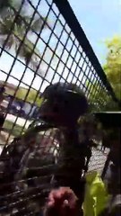 El desesperado pedido de un gendarme a Bullrich