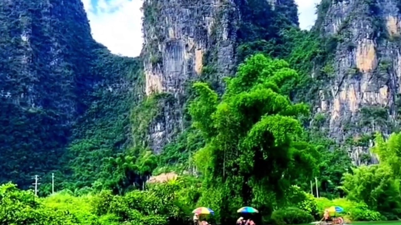 The Nature