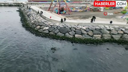 İskenderun Körfezi'nde Deniz Çekilmesi Tedirginlik Yarattı