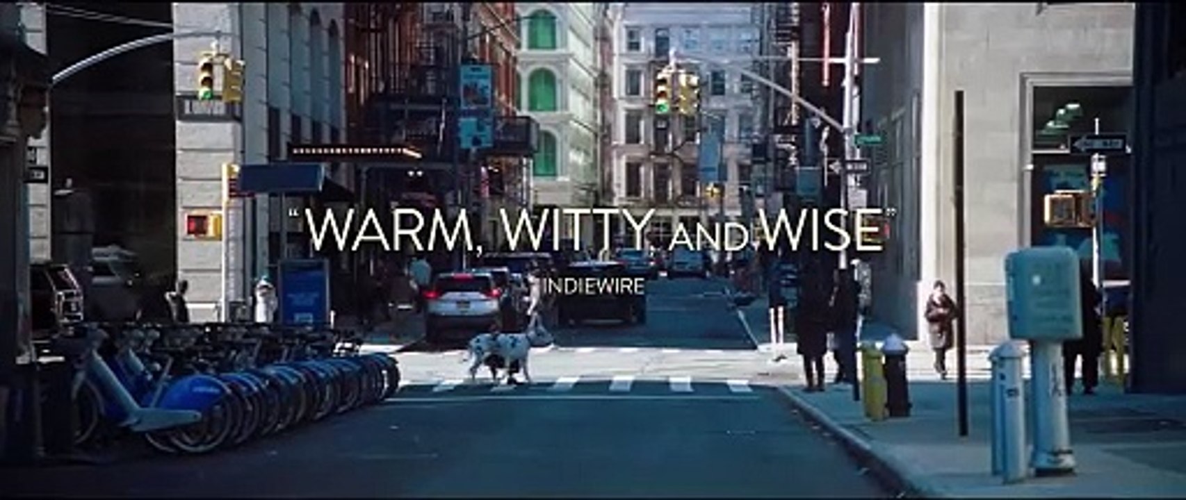 The Friend Trailer OV