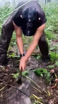 Camping in the rain | Camping alone | Immersive camping