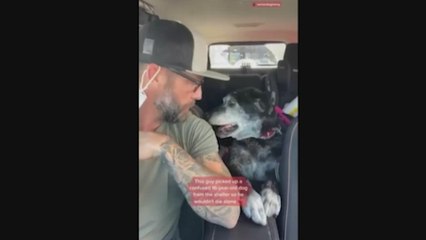 Un hombre cambia el destino de un perro viejo con un acto de amor