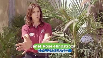 Opposites Attract! These Two Unlikely Animal Friends are Inseparable