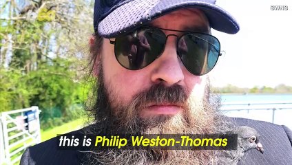 A Rescued Pigeon Joins This Family After a Long and Stressful Journey