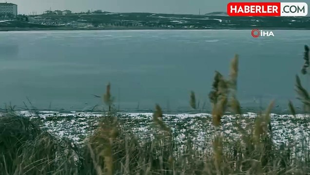 Sivas'ta Hafik Gölü Sibirya Soğuklarıyla Buz Tuttu