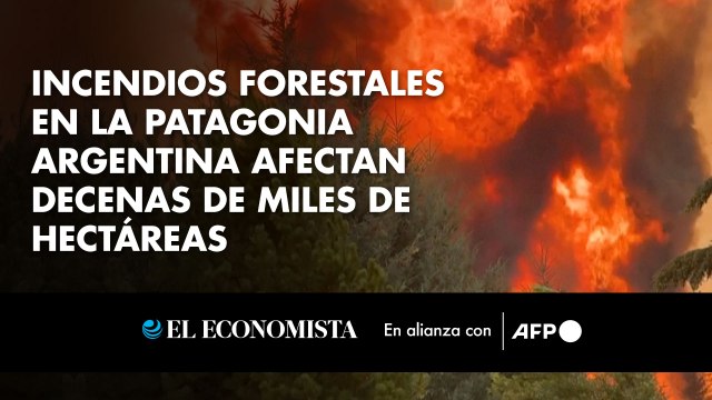 Incendios forestales en la Patagonia argentina afectan decenas de miles de hectáreas