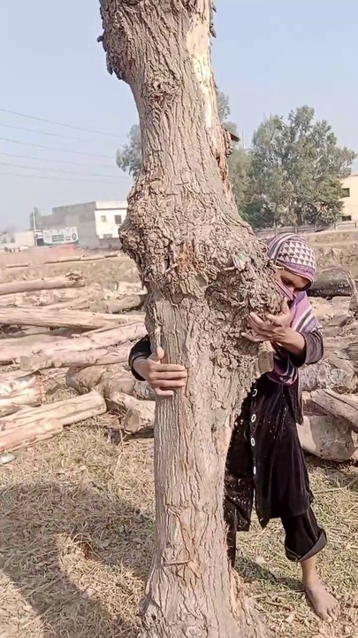Power full lady