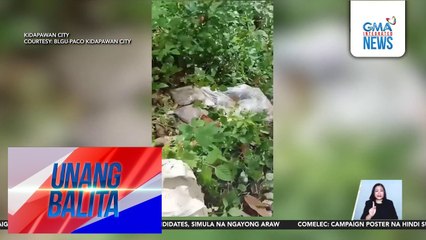 Nasa 300 kilo ng nabubulok na karne ng manok, natagpuan sa bakanteng lote | Unang Balita