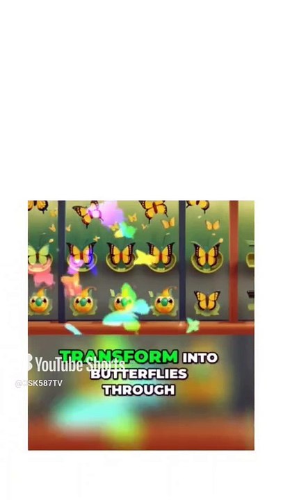 The Amazing Journey of Caterpillars to Butterflies #shortsvideo #caterpillar #shorts