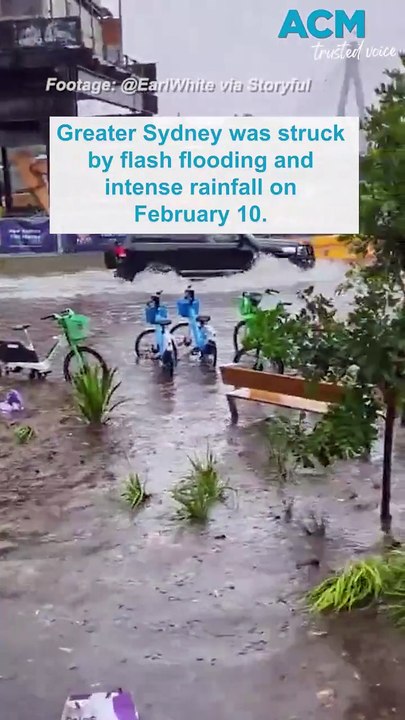 Sydney battered by rain and flash flooding
