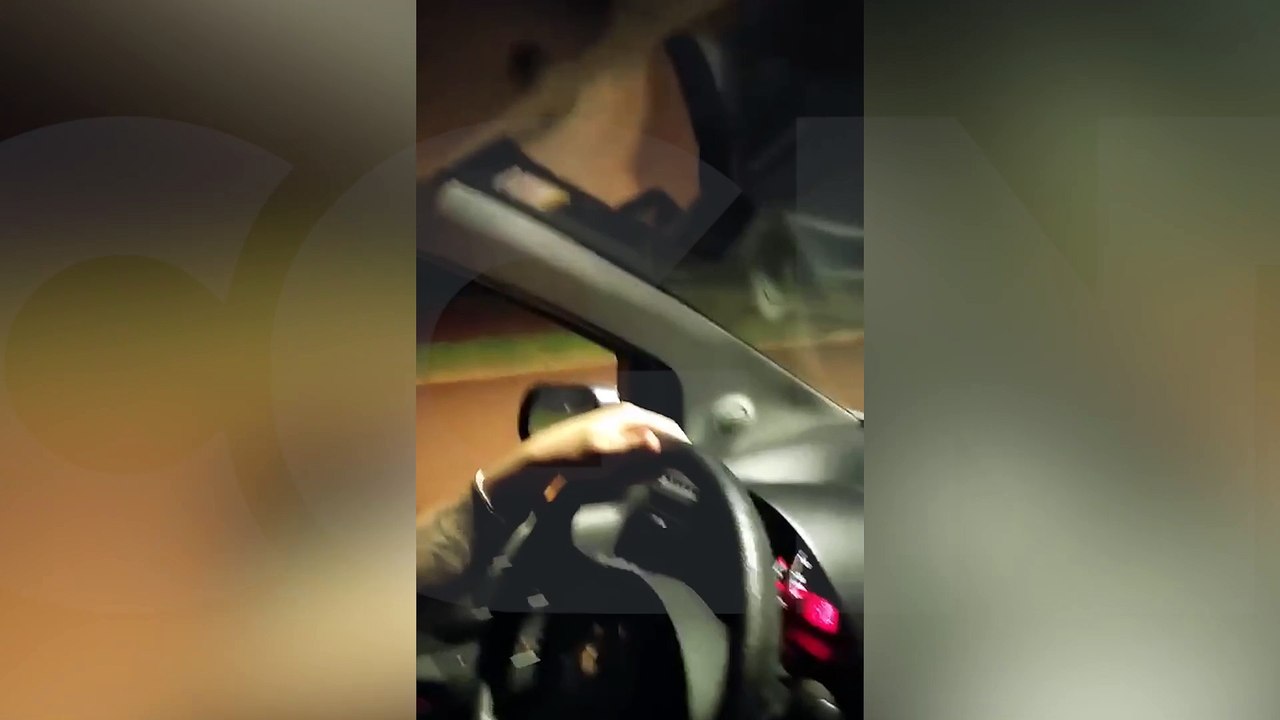 Noite de surpresa: onça-parda é flagrada passeando em Cascavel