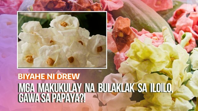 Mga makukulay na bulaklak sa Iloilo, gawa sa papaya?! | Biyahe ni Drew