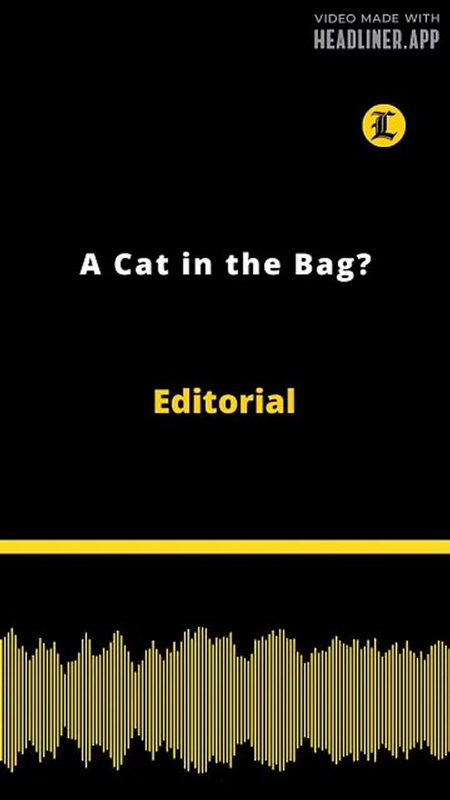 Editorial | A Cat in the Bag?